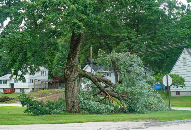 Best Utility Line Clearance  in Grantville, GA